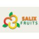Salix Fruits
